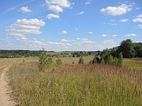 DSCN8452.JPG