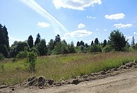 DSCN8455.JPG