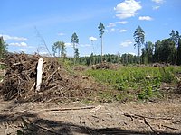 DSCN8461.JPG