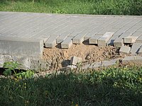 DSCN8521.JPG